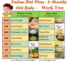 Indian Diet Plan For 6 Months Old Baby Budding Star