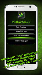 weed live wallpaper 1 5 free