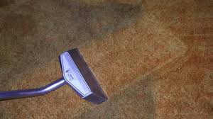 carpet cleaners in glendale heights il