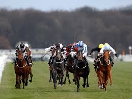 Image result for horses in running