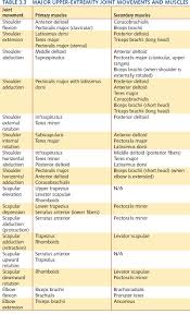 Image Result For Muscle Agonist And Antagonist List