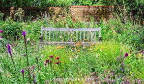 How To Grow A Wildflower Cottage Garden