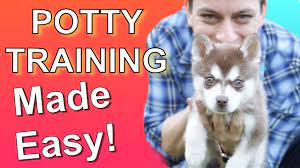 how to potty train your puppy easily