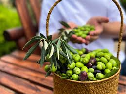 celebrate the olive harvest festival at