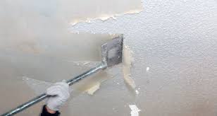 Traditional Ceiling Texture Removal