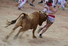 Image result for pics of women running with the bulls