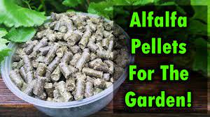 alfalfa pellets as fertilizer for your