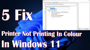 not printing in color in windows 11