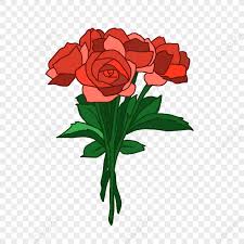 romantic valentines day beautiful rose