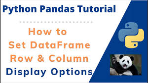 columns in python pandas dataset