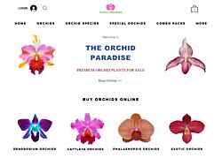 vanda vendors orchidwire listings