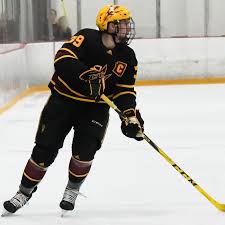 The arizona coyotes drafted forward josh doan with the 37th overall pick in the 2021 nhl draft on saturday. Asu Hockey Devils In Development Camp House Of Sparky