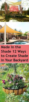 Create Shade In Your Backyard