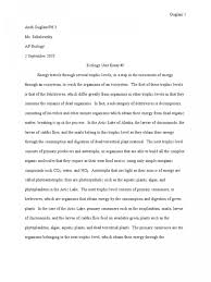  essay example essays water evgeny petrovich karnovich and short 019 essay example on water unique properties of is life pdf soil and conservation examples unbelievable