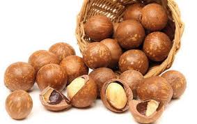 macadamia nuts health benefits and