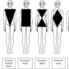 body shapes and figures