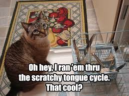 The scratchy tongue cycle | Funny Memes | Pinterest via Relatably.com