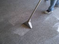 carpet cleaning service ann arbor