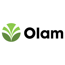 Olam Share Price History Sgx O32 Sg Investors Io