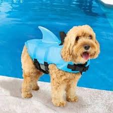 Details About Swimways Sea Squirts Dog Life Vest W Fin For Doggie Swimming Safety Color