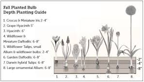 High Country Gardens Planting Guide