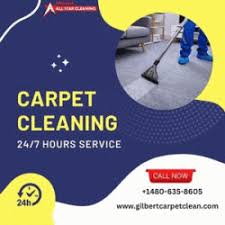 cleaning services mesa locanto