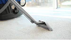 commercial carpet cleaning mn