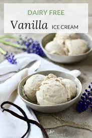 homemade dairy free vanilla ice cream