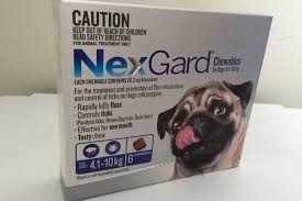 I feel a bit discouraged and i'm wondering if clients typically just take a while to even if you try to make your work more generic your personality will yet shine through. Product Review Nexgard Flea And Tick Chews Companion Animal Veterinary Hospital