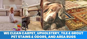 carpet cleaning services in virginia