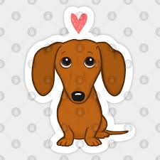 dachshund valentine cute wiener dog