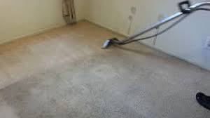 professional carpet cleaning local