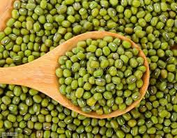 Biji kacang ditanam mulai mei hingga juli langsung ke tanah. Lsh Kacang Hijau ç»¿è±† Green Beans 500g