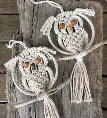 Macrame Owl Wall Hanging Spend With