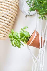 Diy Hanging Herb Garden Made From A