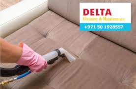 sofa cleaning carpet clean delta