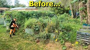 overgrown veggie garden makeover what