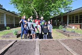 School Gardens Aren T All Withering And