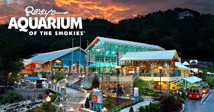 family friendly museums in pigeon forge