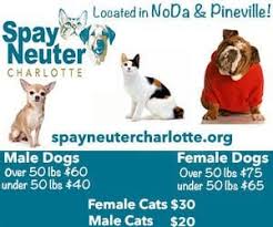It seems whenever cats and dogs are paired together, the dog will almost always be the adverts for animal friends pet insurance feature a claymation female cat and male dog. Save Up To 50 On Spaying And Neutering Your Pet Charlotte On The Cheap
