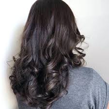This deepest, darkest black shade with a hint of ash is perfect for achieving a rich caviar color. Ash Black Hair Color Dark Ash Brown Hair Color Medium Ash Blonde Hair Color On Black Hair Ash Brown Hair Color Ash Hair Color Brown Hair Colors