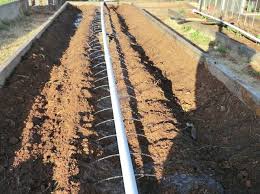 35 Diy Rainwater Irrigation System