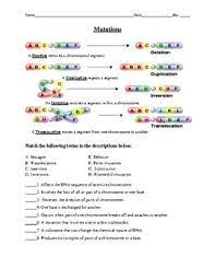 In audio transcription, the transcript or the information found during the transcription process should be formatted in a manner that will allow the reader to clearly hear the information read by the transcriptionist. Dna Replication Transcription And Translation Practice Worksheet