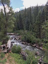 Find free dispersed camping almost anywhere you go! Five Star Boondocking East Fork Road Colorado Uphill Zen