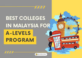 a levels program in msia excel
