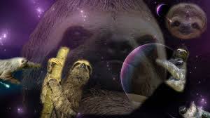 100 sloth wallpapers wallpapers com