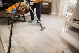 carpet cleaning carpet sanitizing