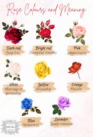 how to pick the perfect rose bouquet