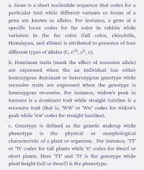 d zygote and heterozygote of an