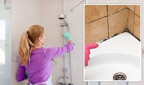 Remove Mould From Shower Tiles